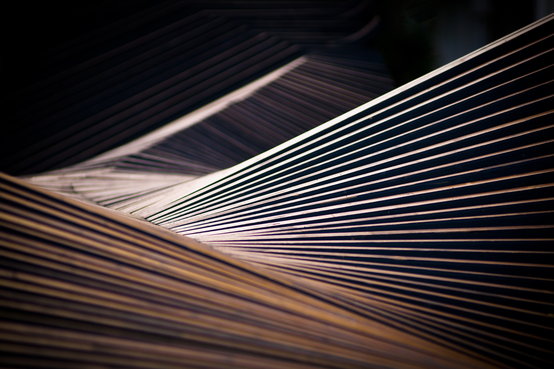 MOLO · Wave